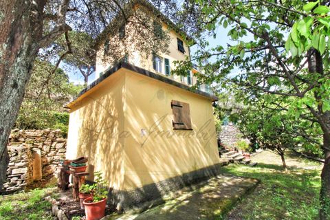 Villa a Camogli, Genoa, Camogli - € 800.000 | Ref: 581DV-2-1 - foto 35