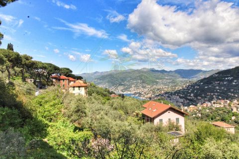 Villa a Camogli, Genoa, Camogli - € 800.000 | Ref: 581DV-2-1 - foto 46