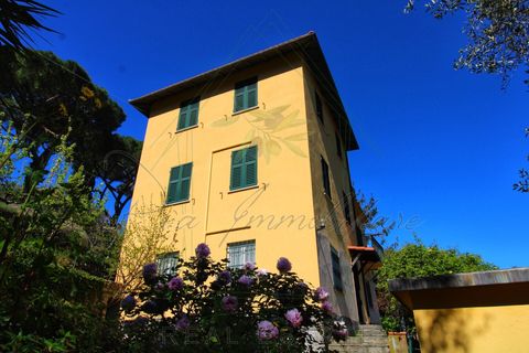Villa a Camogli, Genoa, Camogli - € 800.000 | Ref: 581DV-2-1 - foto 49