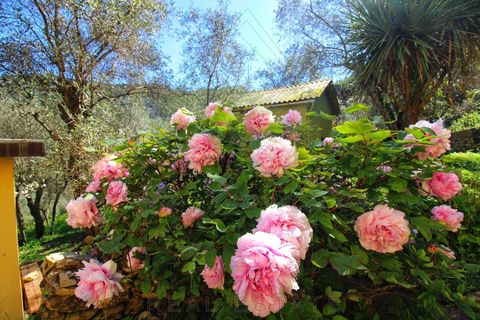 Villa a Camogli, Genoa, Camogli - € 800.000 | Ref: 581DV-2-1 - foto 50