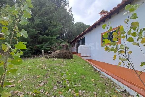 Villa a Tomar, Santarem, Tomar - € 395.000 | Ref: TM98400 - foto 6
