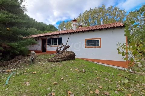 Villa a Tomar, Santarem, Tomar - € 395.000 | Ref: TM98400 - foto 23