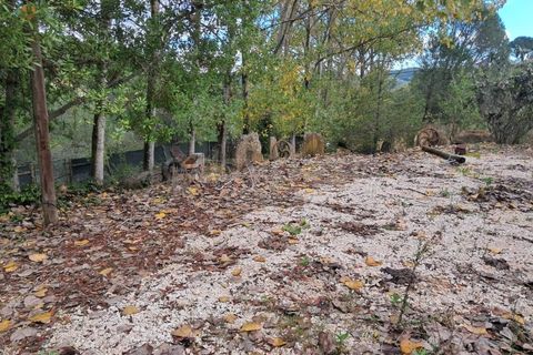 Villa a Tomar, Santarem, Tomar - € 395.000 | Ref: TM98400 - foto 24