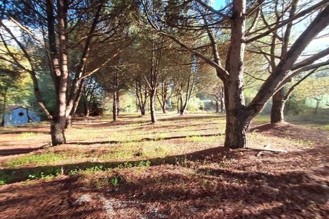 Villa a Tomar, Santarem, Tomar - € 395.000 | Ref: TM98400 - foto 26