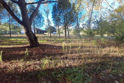 Villa a Tomar, Santarem, Tomar - € 395.000 | Ref: TM98400 - foto 28