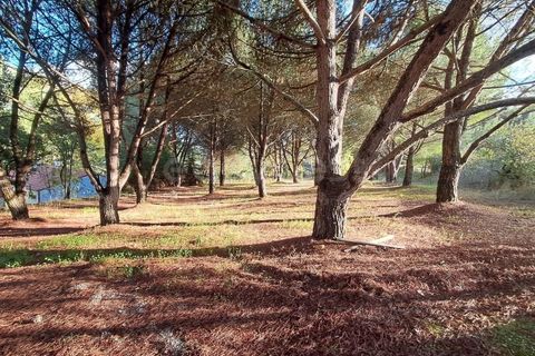 Villa a Tomar, Santarem, Tomar - € 395.000 | Ref: TM98400 - foto 29
