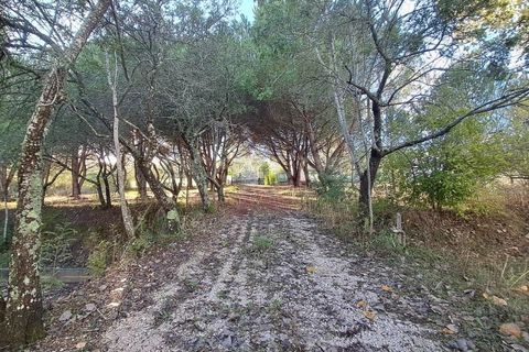 Villa a Tomar, Santarem, Tomar - € 395.000 | Ref: TM98400 - foto 30