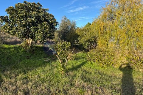 Villa i Cabecao, Evora, Cabecao - € 315.000 | Ref: CAS_1320 - foto 7