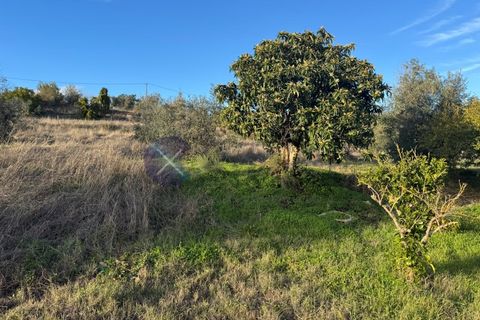 Villa i Cabecao, Evora, Cabecao - € 315.000 | Ref: CAS_1320 - foto 8