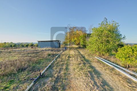 Villa a Alpiarca, Santarem, Alpiarca - € 550.000 | Ref: MOR4441 - foto 36