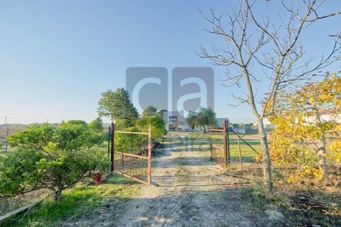 Villa a Alpiarca, Santarem, Alpiarca - € 550.000 | Ref: MOR4441 - foto 37