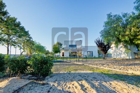 Villa a Alpiarca, Santarem, Alpiarca - € 550.000 | Ref: MOR4441 - foto 38