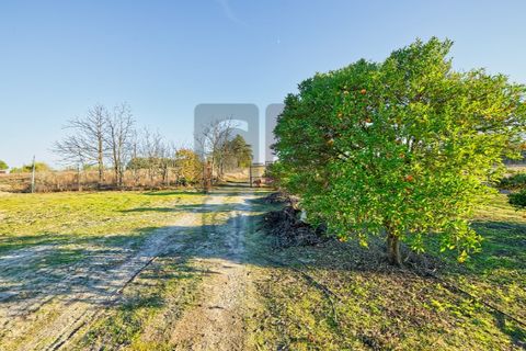 Villa a Alpiarca, Santarem, Alpiarca - € 550.000 | Ref: MOR4441 - foto 39