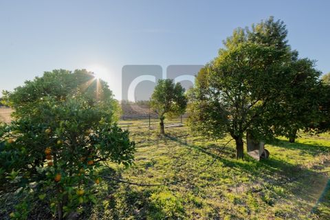 Villa a Alpiarca, Santarem, Alpiarca - € 550.000 | Ref: MOR4441 - foto 40