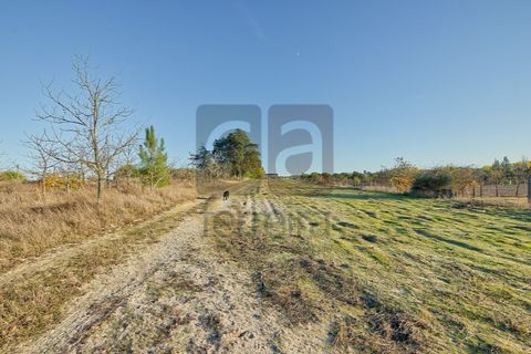 Villa a Alpiarca, Santarem, Alpiarca - € 550.000 | Ref: MOR4441 - foto 41