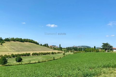 Villa i Dogliani, Cuneo, Dogliani - € 560.000 | Ref: 86470561 - foto 16