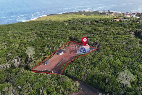 Villa i Lajes do Pico, Pico, Lajes do Pico - € 276.000 | Ref: 374250287 - foto 27