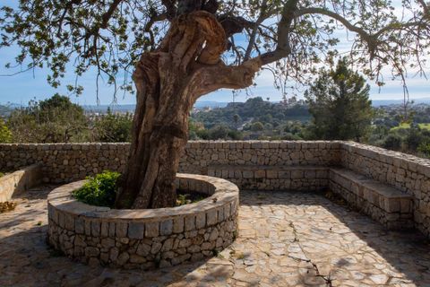 Landejendom i Inca, Mallorca, Inca - € 3.950.000 | Ref: 68803 - foto 9