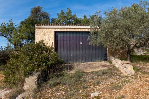 Landejendom i Inca, Mallorca, Inca - € 3.950.000 | Ref: 68803 - foto 12