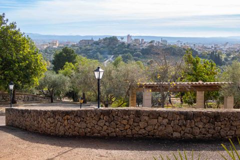 Landejendom i Inca, Mallorca, Inca - € 3.950.000 | Ref: 68803 - foto 13