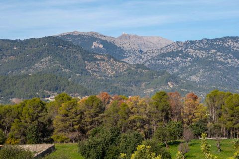 Landejendom i Inca, Mallorca, Inca - € 3.950.000 | Ref: 68803 - foto 43