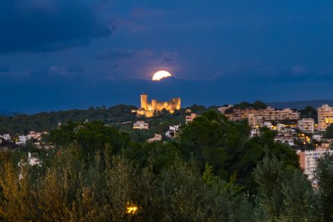 Villa a Cas Catala, Mallorca, Cas Catala - € 2.600.000 | Ref: 82902 - foto 26