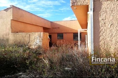Landejendom i Sa Pobla, Mallorca - foto 3