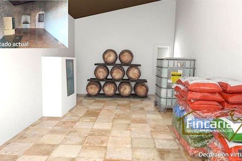 Landejendom i Sa Pobla, Mallorca, Sa Pobla - € 646.000 | Ref: VSP-2058 - foto 6