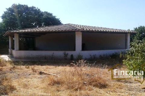 Landejendom i Sa Pobla, Mallorca, Sa Pobla - € 646.000 | Ref: VSP-2058 - foto 9