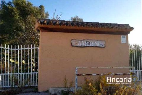Landejendom i Sa Pobla, Mallorca, Sa Pobla - € 646.000 | Ref: VSP-2058 - foto 10