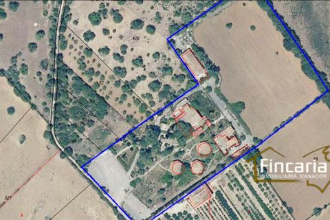 Landejendom i Sa Pobla, Mallorca, Sa Pobla - € 646.000 | Ref: VSP-2058 - foto 11