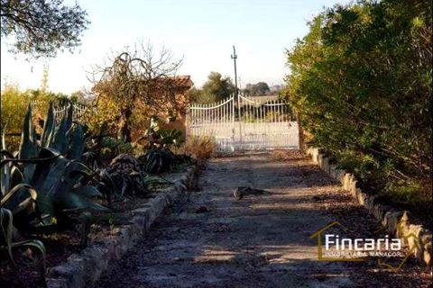 Landejendom i Sa Pobla, Mallorca, Sa Pobla - € 646.000 | Ref: VSP-2058 - foto 12