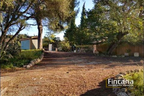 Landejendom i Sa Pobla, Mallorca, Sa Pobla - € 646.000 | Ref: VSP-2058 - foto 13