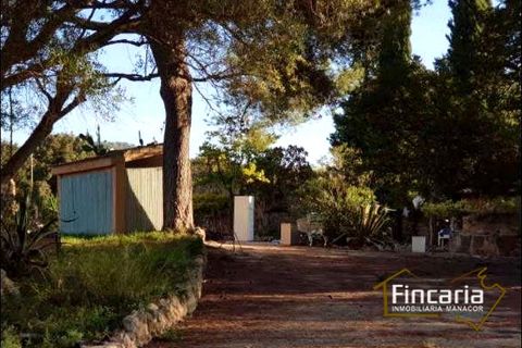 Landejendom i Sa Pobla, Mallorca, Sa Pobla - € 646.000 | Ref: VSP-2058 - foto 14