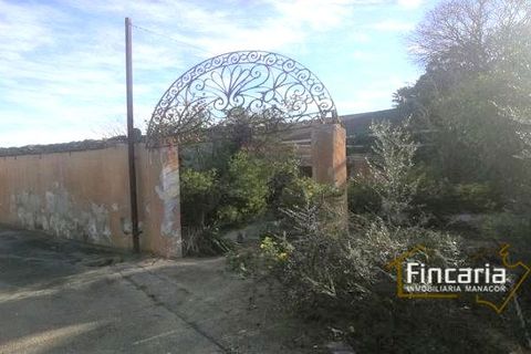 Landejendom i Sa Pobla, Mallorca, Sa Pobla - € 646.000 | Ref: VSP-2058 - foto 15