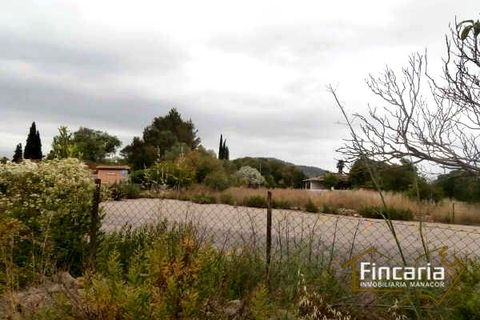 Landejendom i Sa Pobla, Mallorca, Sa Pobla - € 646.000 | Ref: VSP-2058 - foto 16