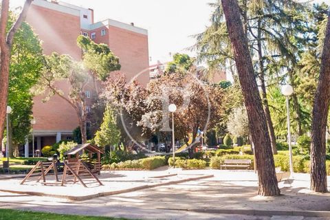 Leilighet i Barajas, Madrid, Barajas - € 740 000 | Ref: VMN2511013 - foto 16