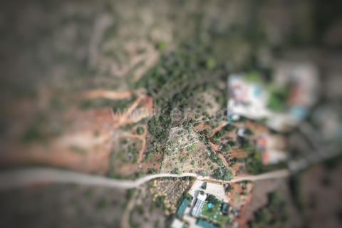Terra a Loule, Faro, Loule - € 490.000 | Ref: 119250100 - foto 4
