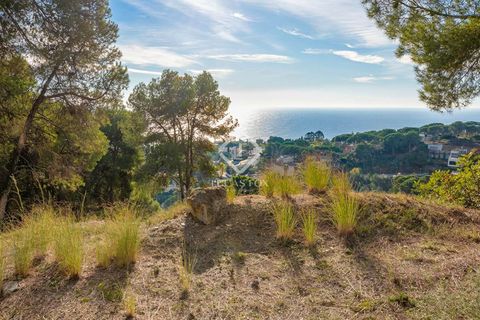 Helårsgrund i Blanes, Gerona, Blanes - € 610.000 | Ref: CBR64897 - foto 2