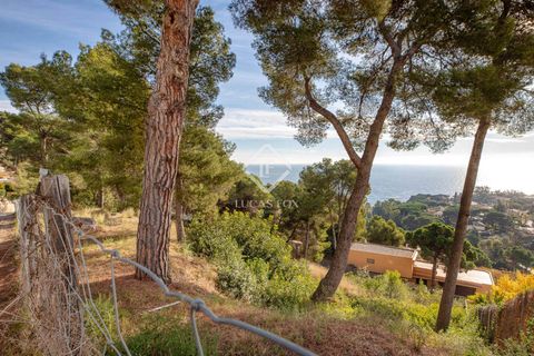 Helårsgrund i Blanes, Gerona, Blanes - € 610.000 | Ref: CBR64897 - foto 4