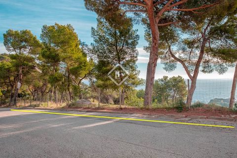 Helårsgrund i Blanes, Gerona, Blanes - € 610.000 | Ref: CBR64897 - foto 6
