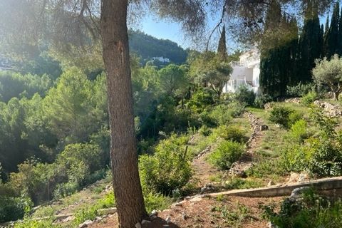 Terra a Denia, Alicante, Denia - € 190.000 | Ref: PL10 - foto 3