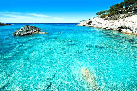 Villa i Calvia, Mallorca, Calvia - € 1.350.000 | Ref: Fantastic Villa - foto 20