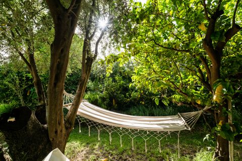 Landejendom i Melegis, Granada, Melegis - € 1.100.000 | Ref: LVA980 - foto 23