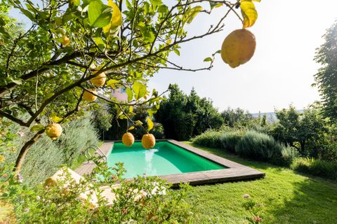 Landejendom i Melegis, Granada, Melegis - € 1.100.000 | Ref: LVA980 - foto 24
