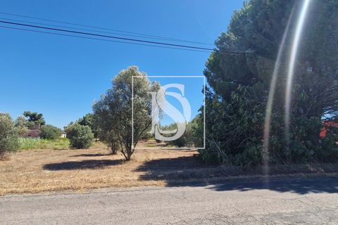 Helårsgrund i Palmela, Setubal, Palmela - € 150.000 | Ref: DSASPP29 - foto 3