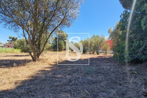 Helårsgrund i Palmela, Setubal, Palmela - € 150.000 | Ref: DSASPP29 - foto 4