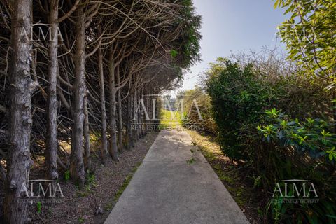 Rækkehus i Vila Nova de Gaia, Porto, Vila Nova de Gaia - € 1.350.000 | Ref: PRM8327 - foto 36