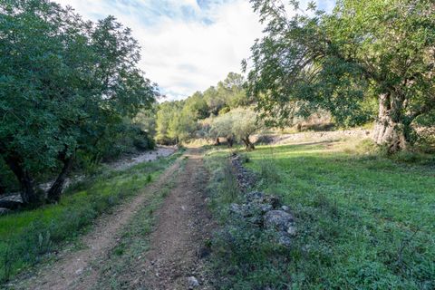 Finca i Tivenys, Tarragona, Tivenys - € 23.000 | Ref: 308 - foto 10