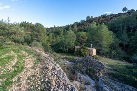 Finca i Tivenys, Tarragona, Tivenys - € 23.000 | Ref: 308 - foto 13